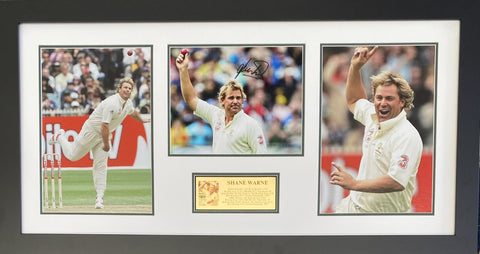 Shane Warne 700th Wicket Celebration, Personally Signed, Framed