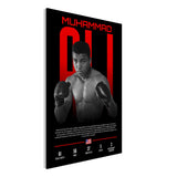 a8de64fd-d5a8-432b-87af-b7b49d55810b